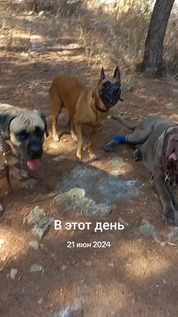 @Владимир