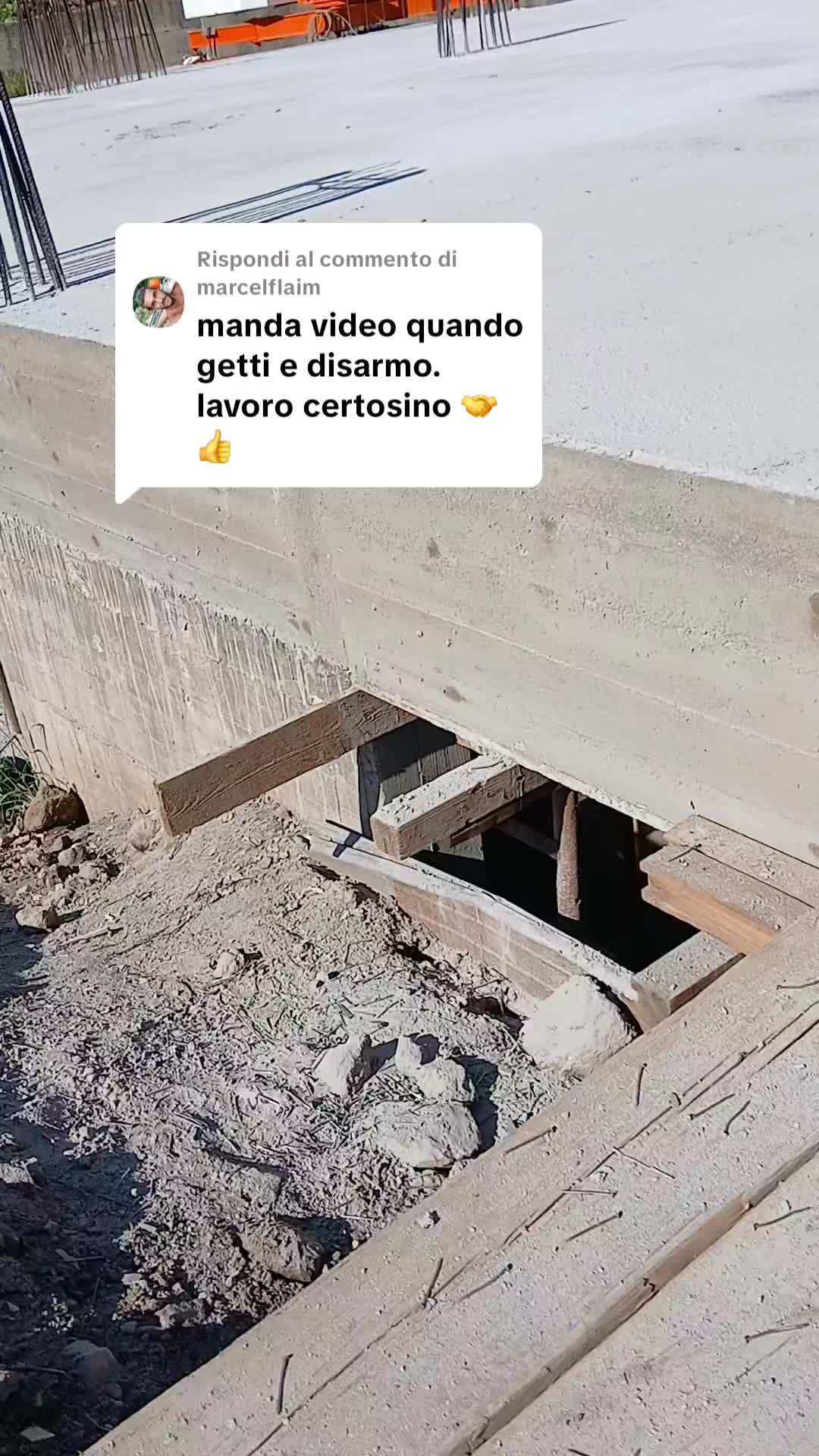 @lellogrimaldi5