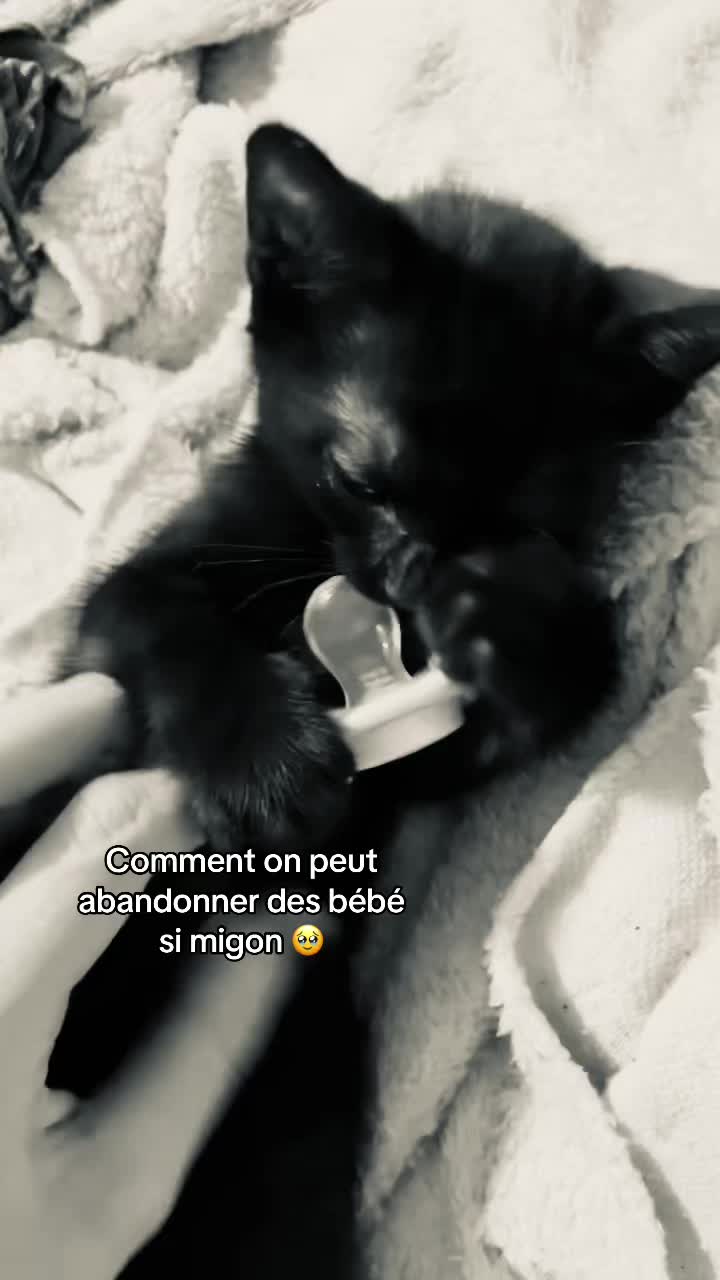 @Nana🦢