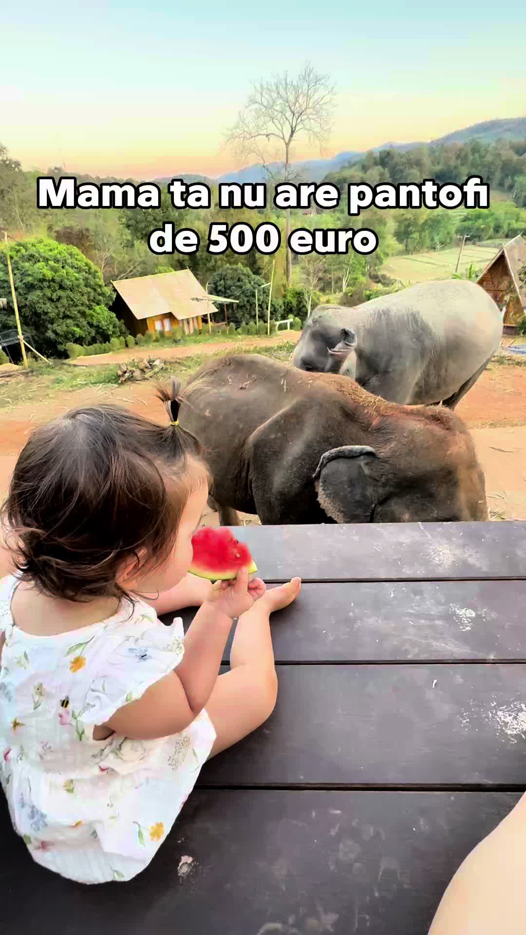 @Minnie Travels