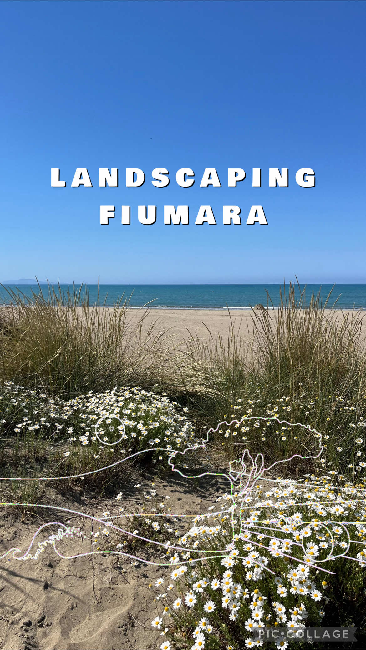 @Maremma Green Passion
