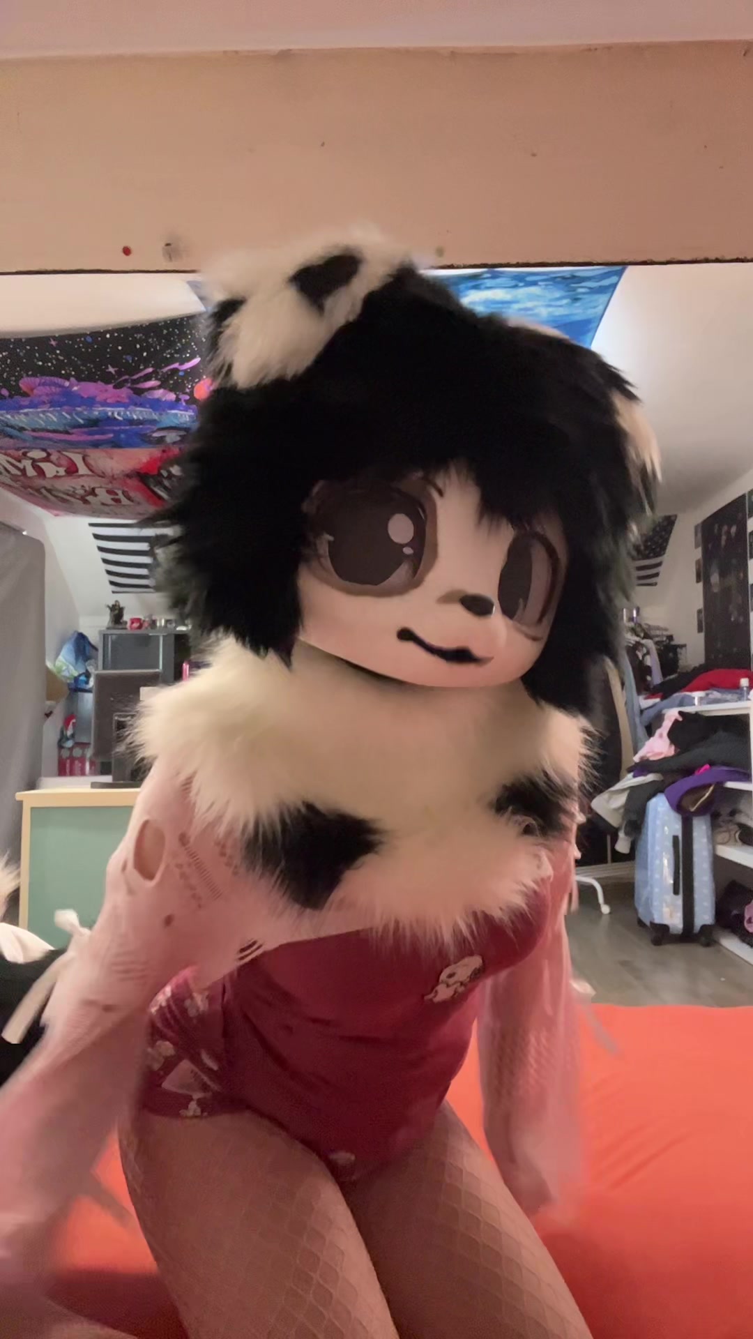 @🐾koddyyyyy🐾