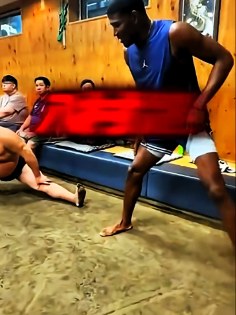 @猫森