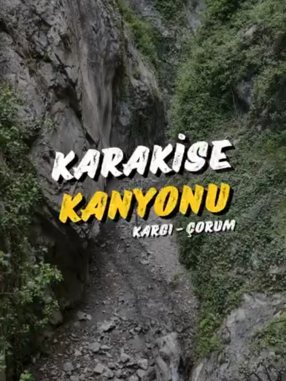 @Avrupadaki_Corumlular_19