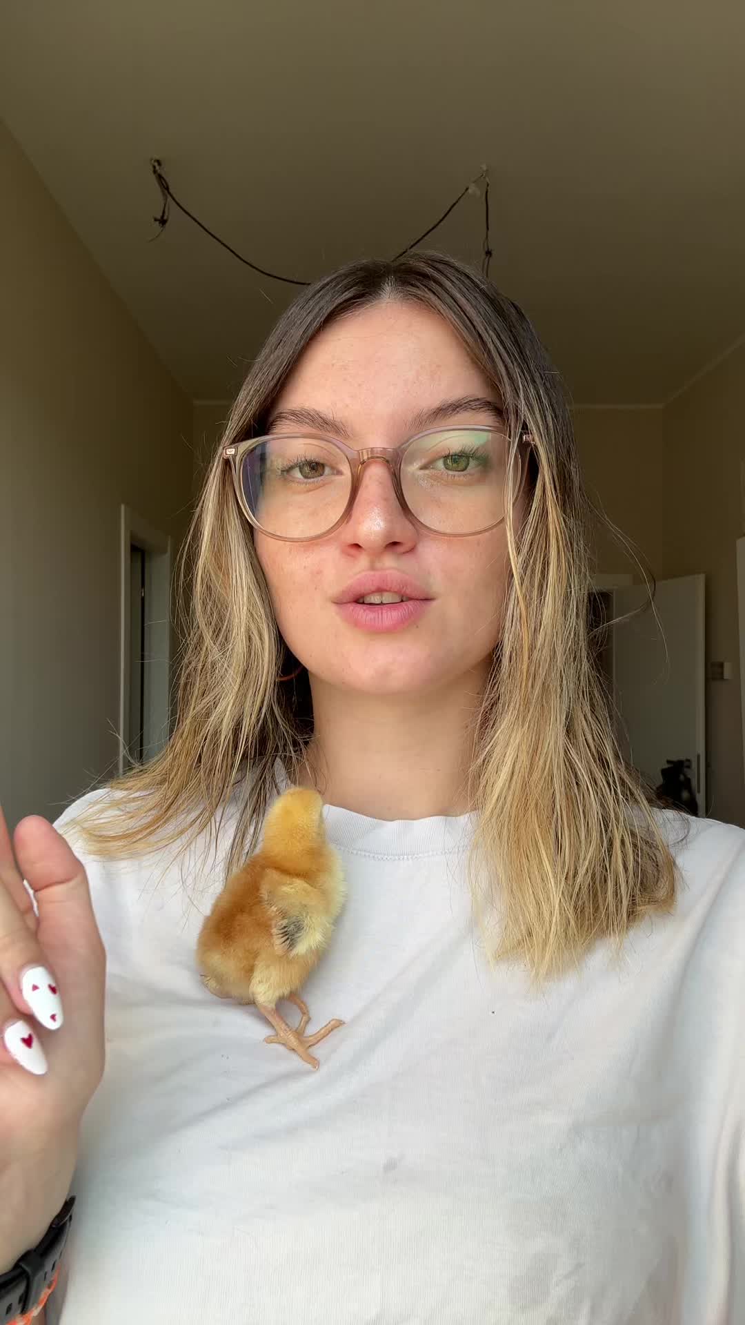 @sofi.favaro