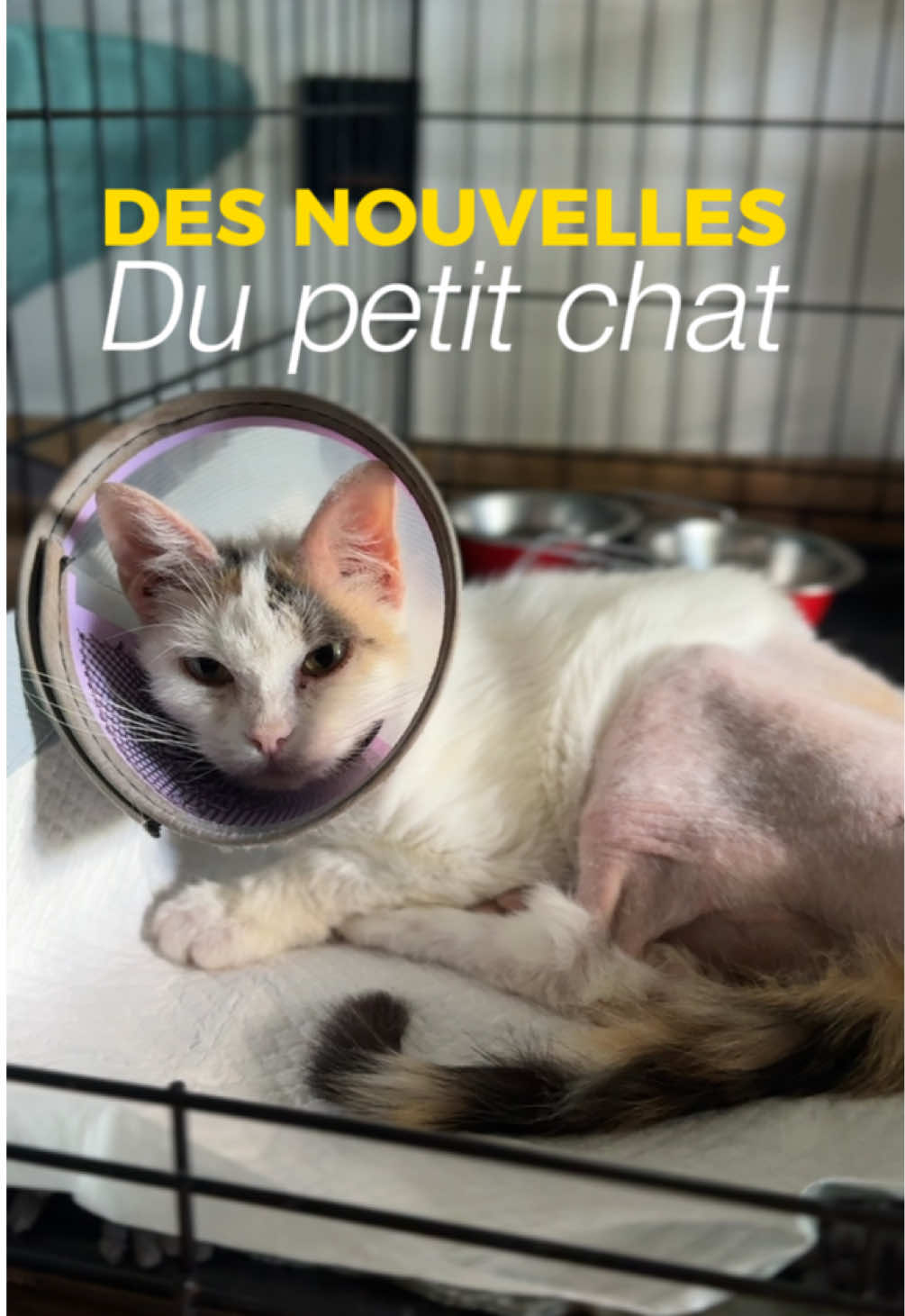 @Untraitdecheval