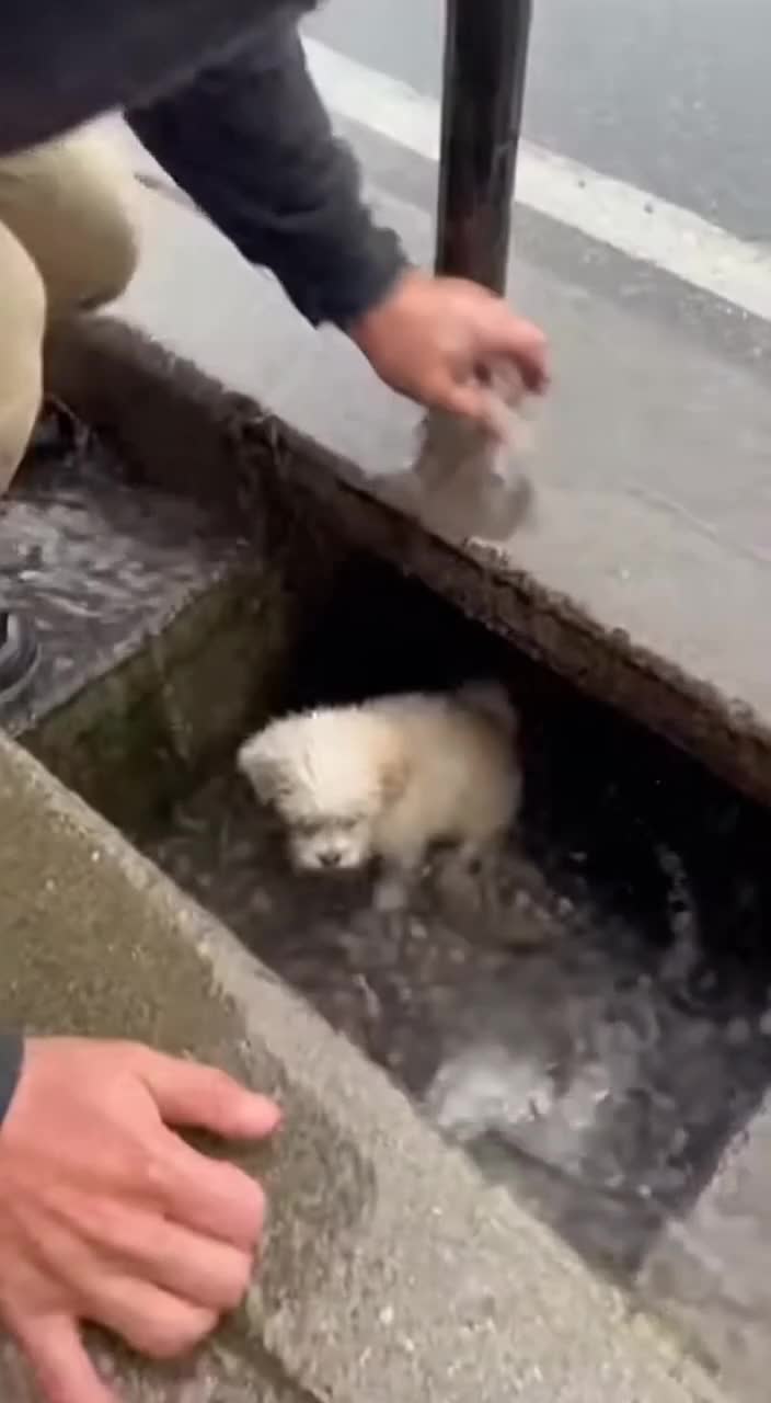 @animalslife2026