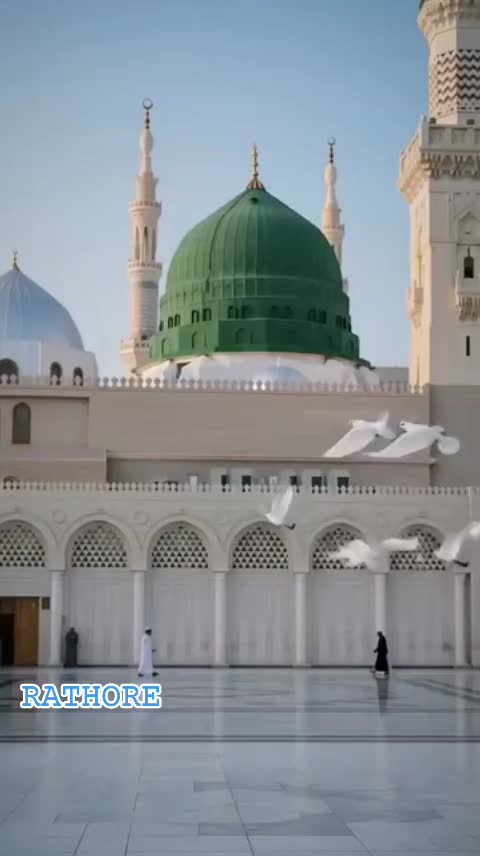 @Mohammad Zaheer Attari