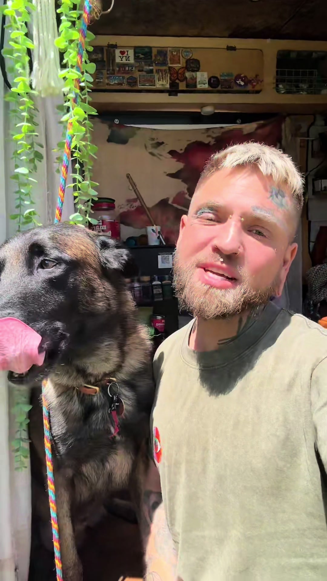 @balancedcanineacademy