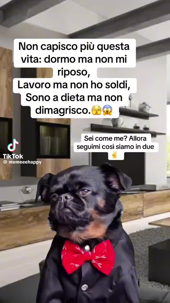 @Laura Peluso