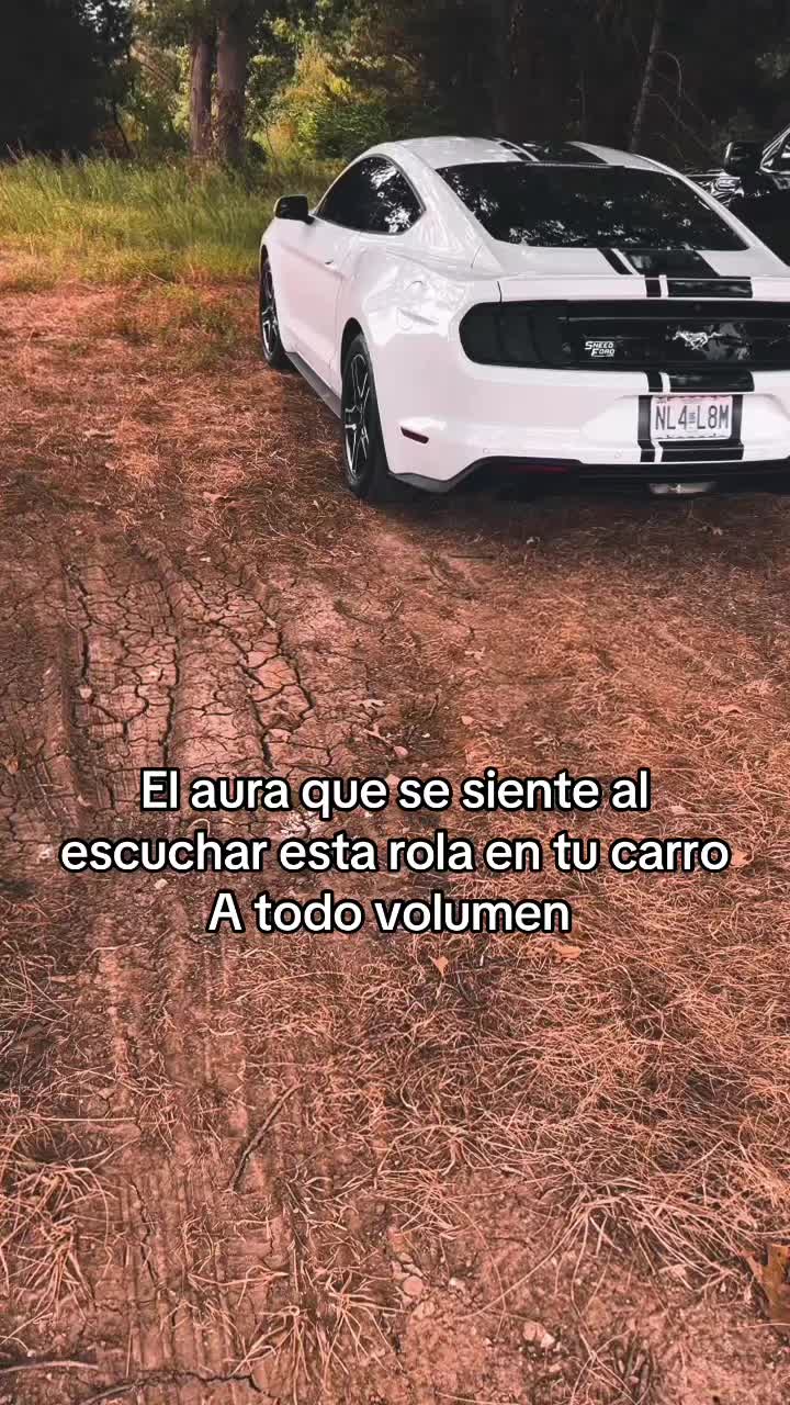 @Castillo