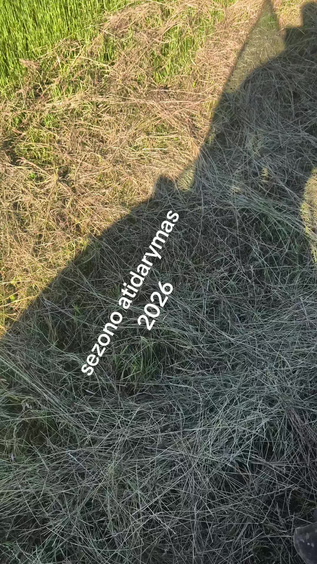 @👻🦊 Lapino &Scaron;mėkla 🦊👻