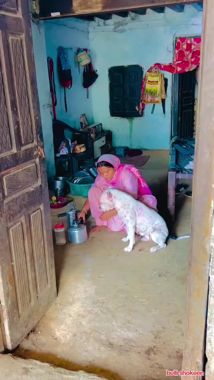 @bullishokeen2