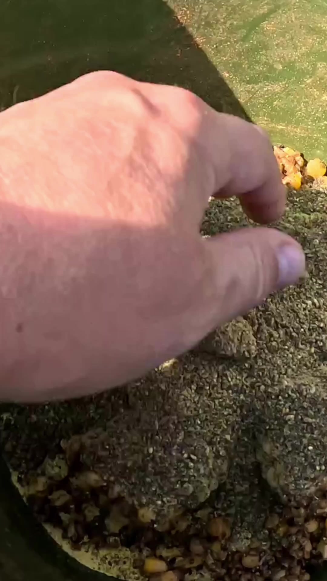 @Rolandas Stonkus