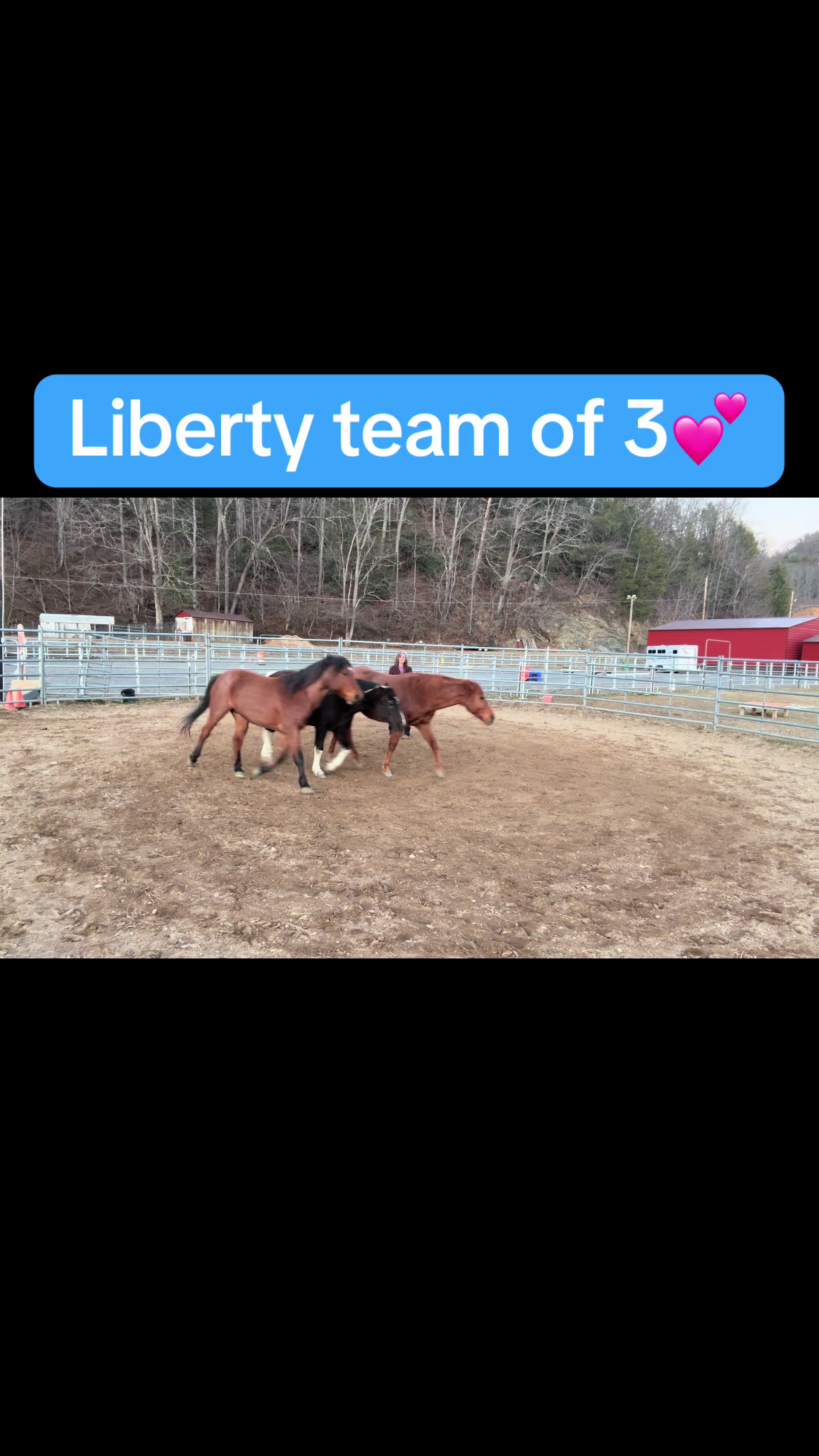 @Janet..Fuzzy.farm.gang
