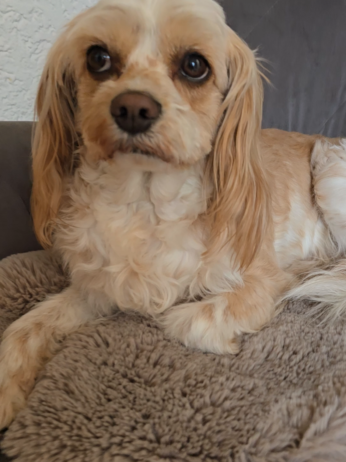 @Jazzy&Oscar's Hundeblog