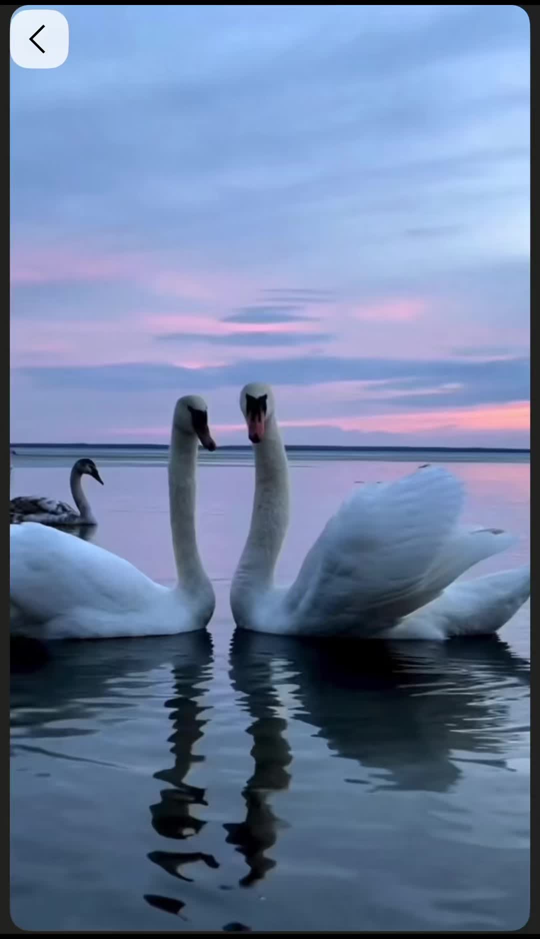 @🎧 ЛьВиЦа. Я 🎧