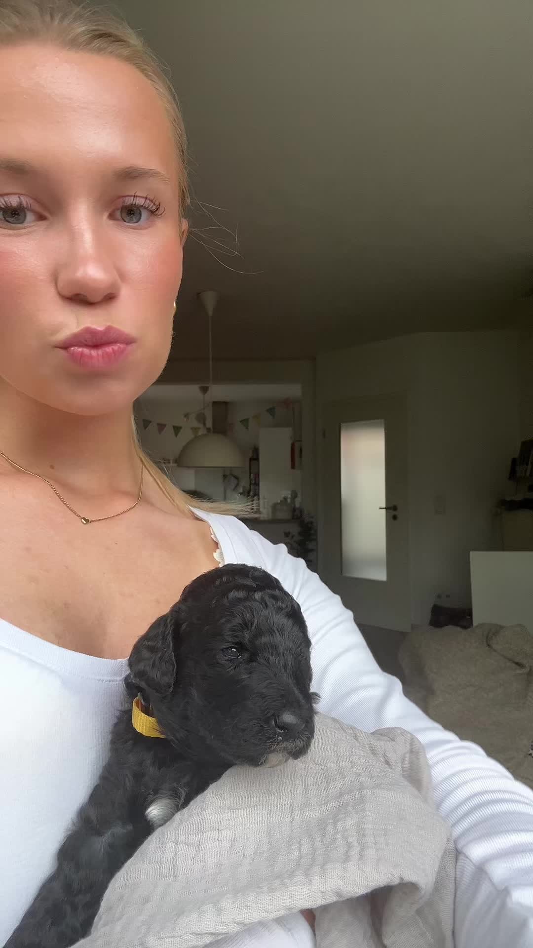 @lina