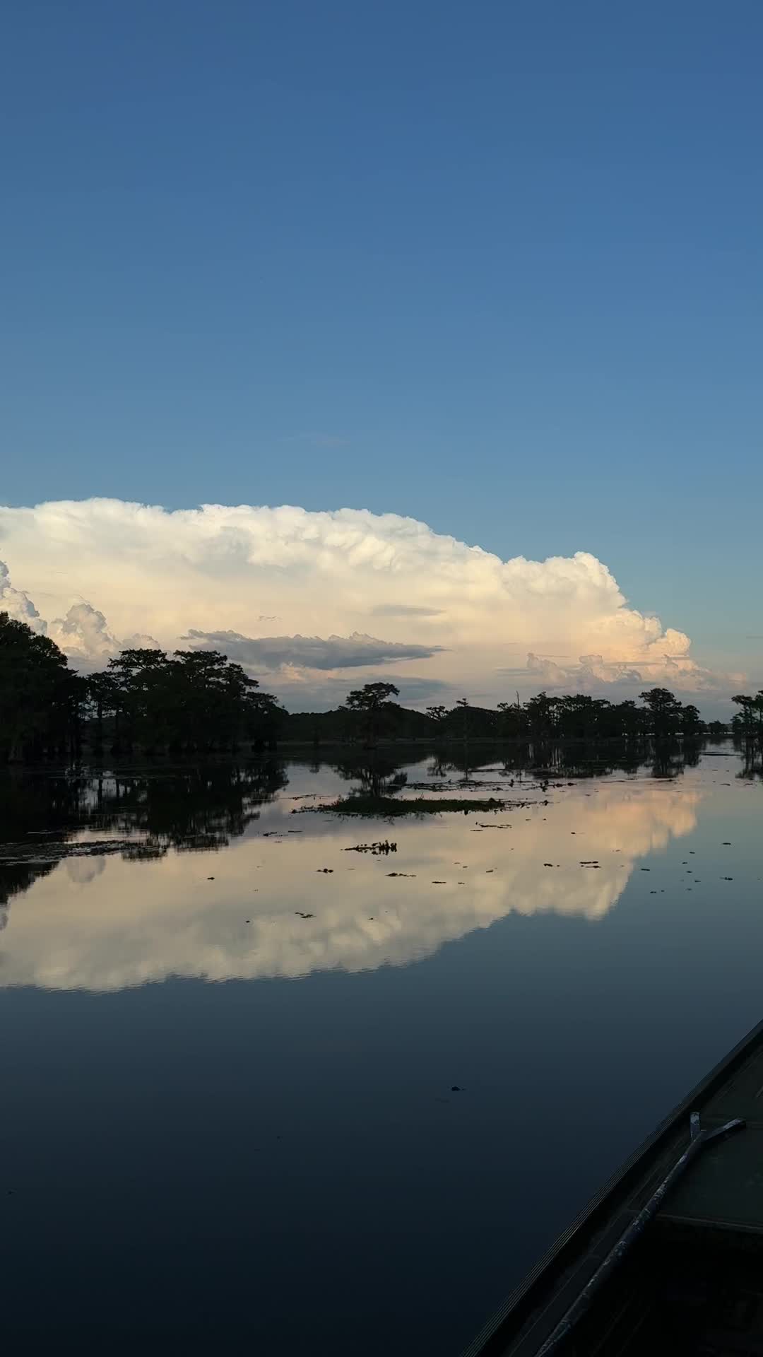 @Caddo Lake FirstCastCabin
