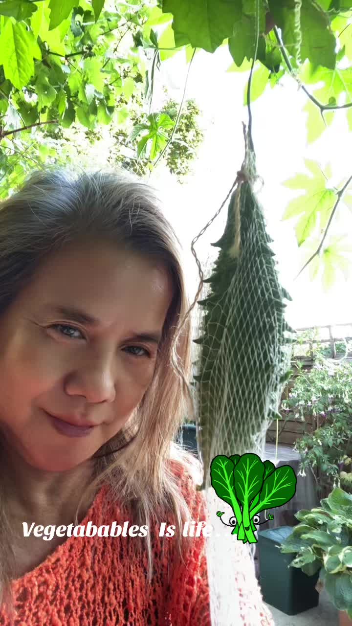 @chloeegordonn