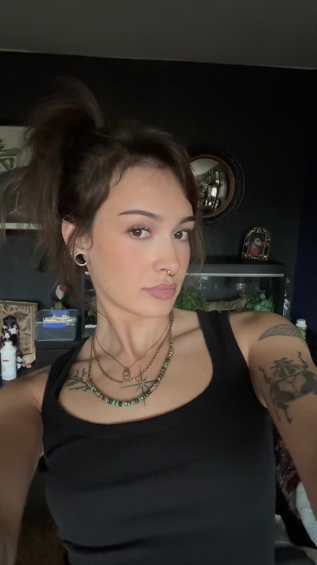 @kitty.catcentral
