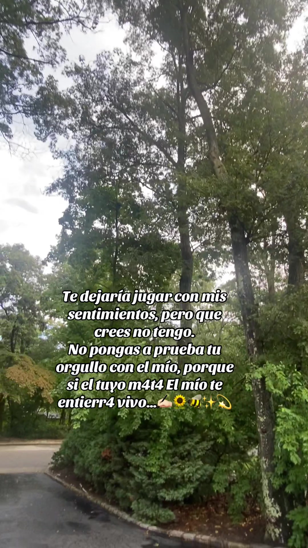 @💛Bonita_Girasol91