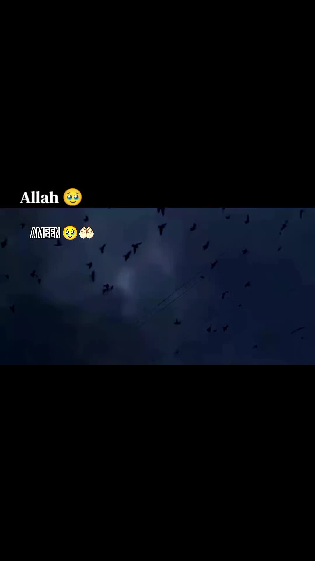 @❥♕⋆𝐙.𝐇⋆♛♒︎