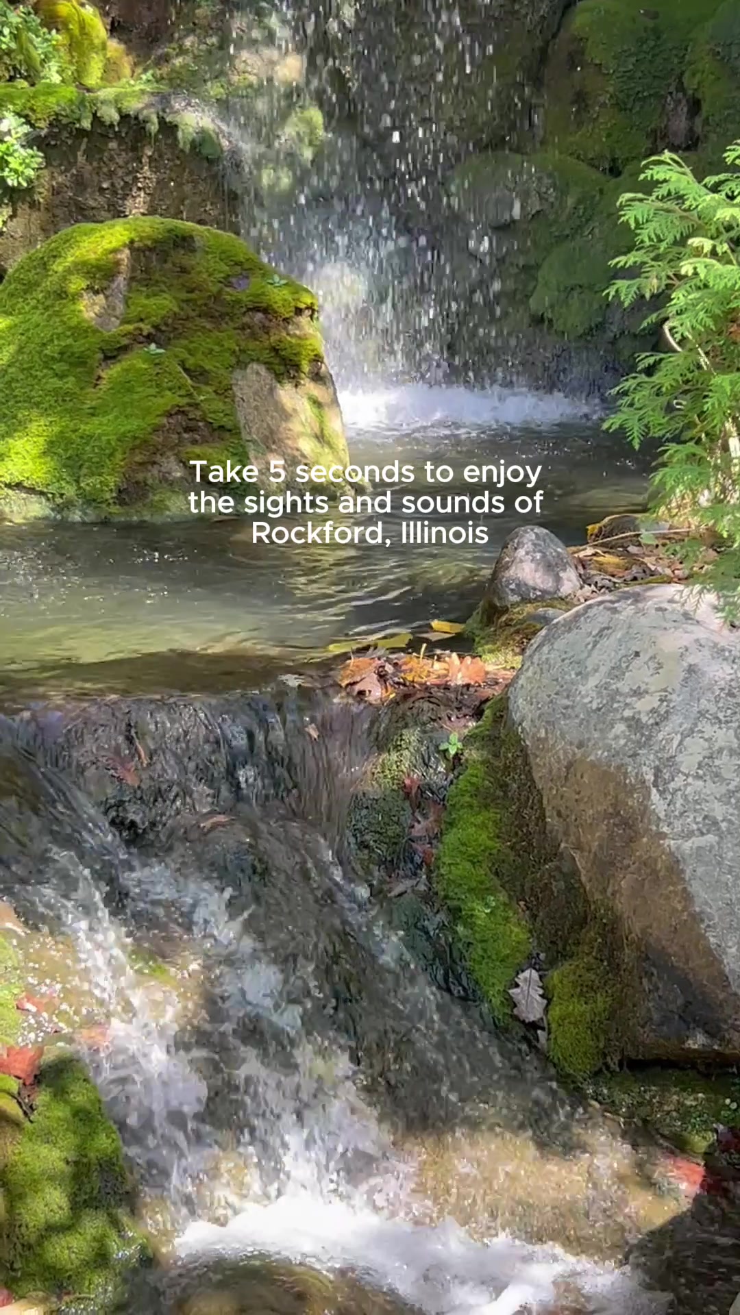 @Enjoy Illinois