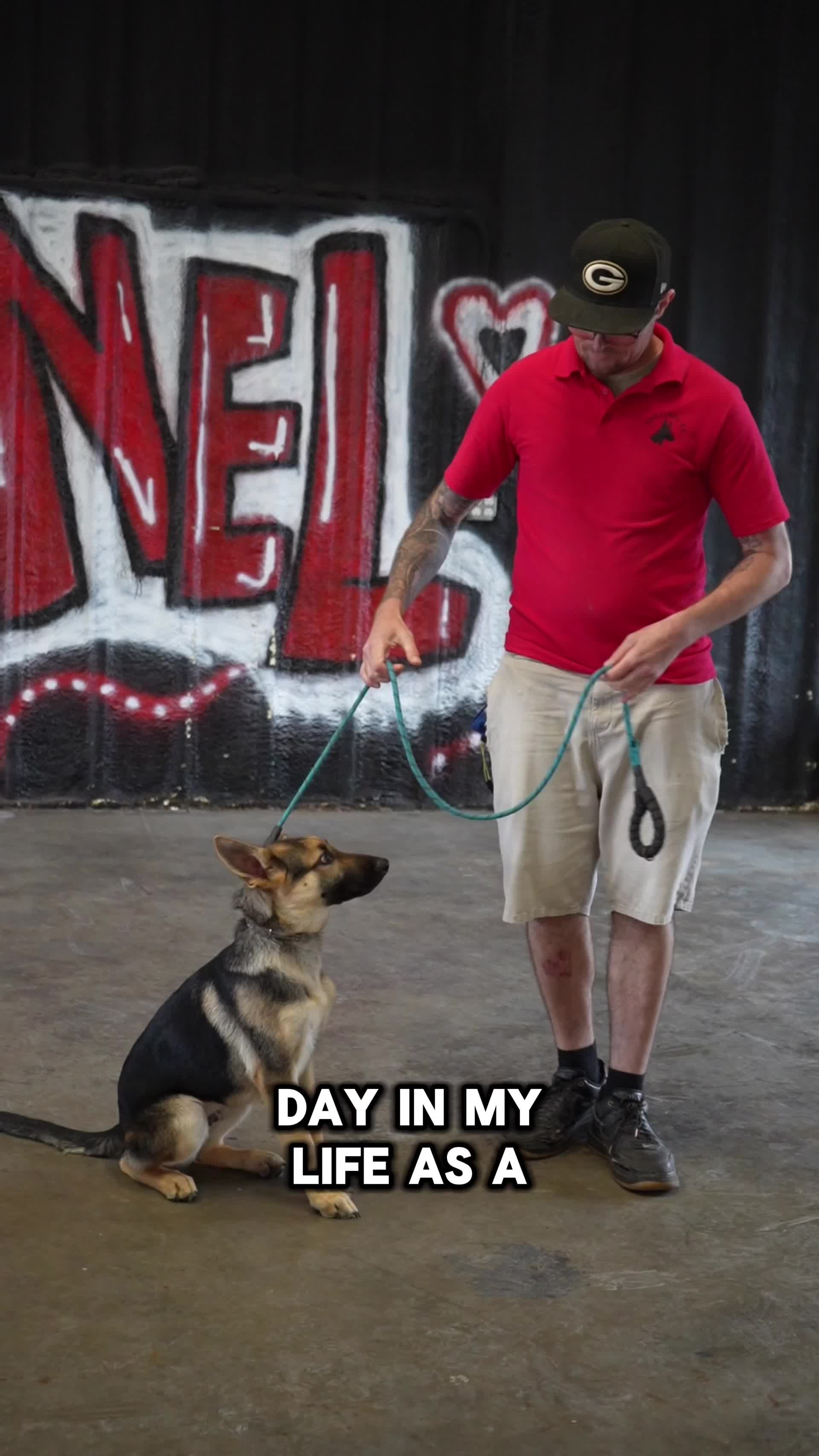 @Sentinel K9 | Dog Training