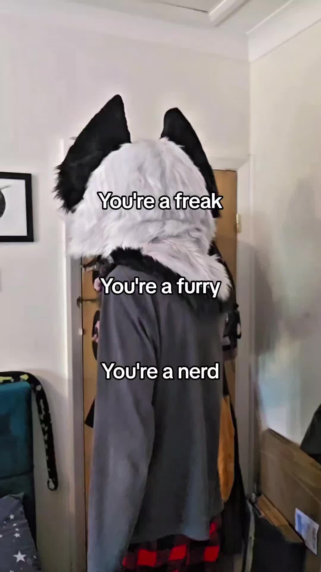 @Maishu Foxx