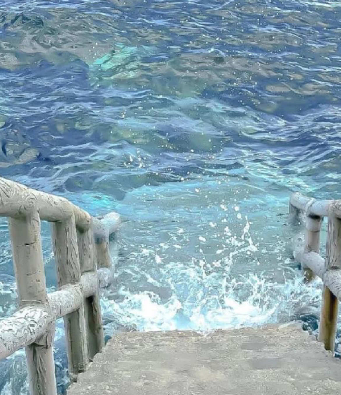 @𖤐⭒๋࣭ мιмкα ⭑
