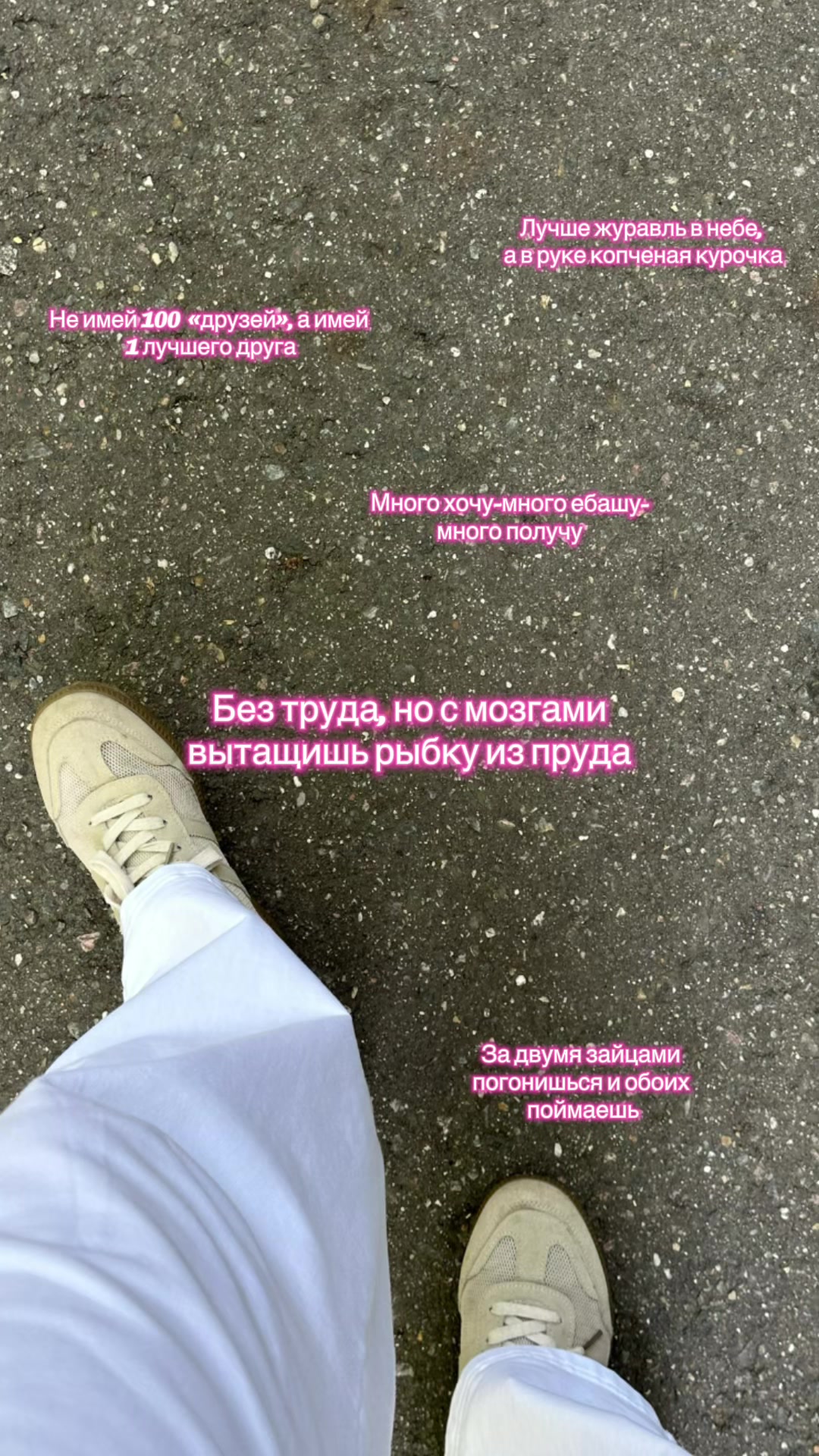 @foxik