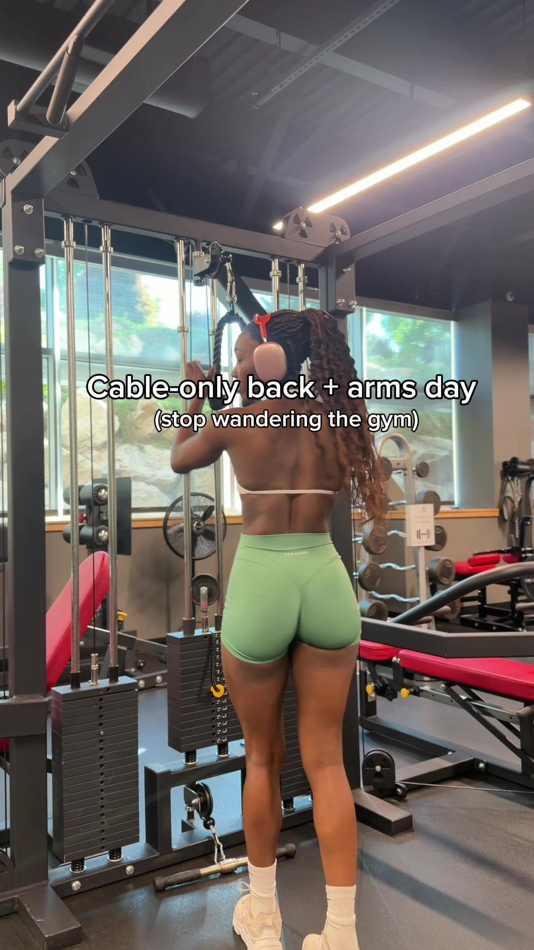 @reignofcissia