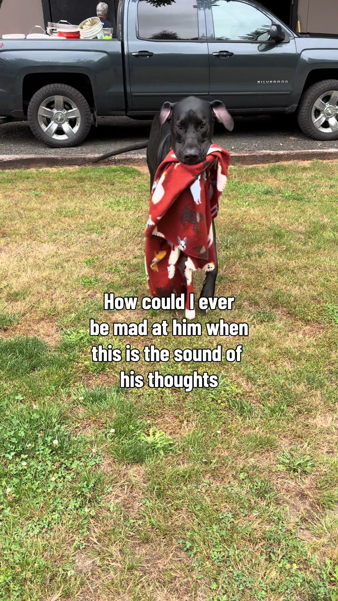 @Raising Dane