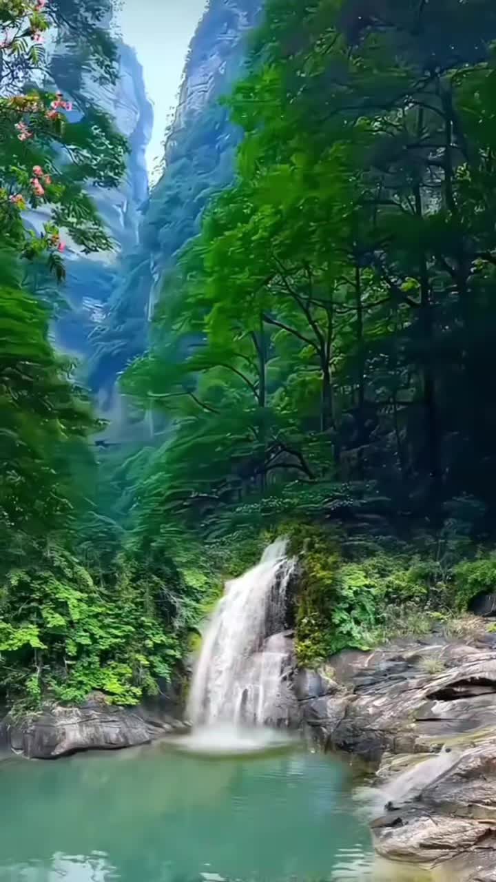 @Radmila