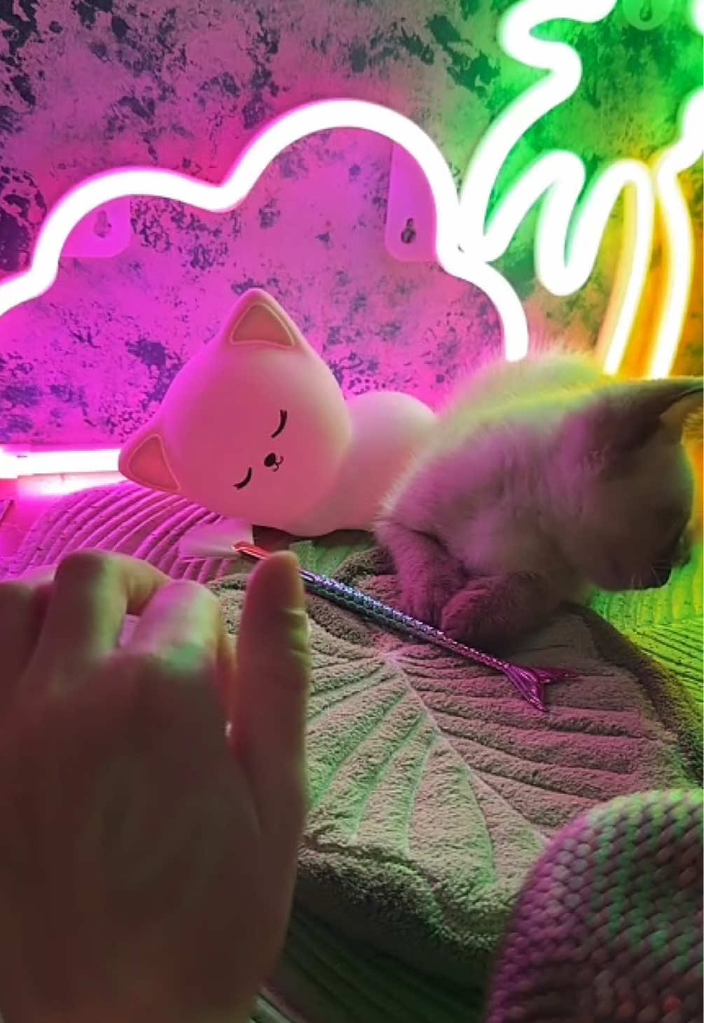 @Mirella ASMR