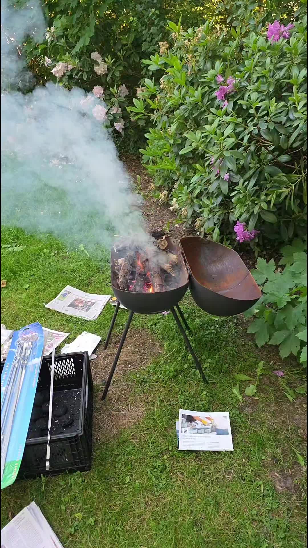 @Der Löwe