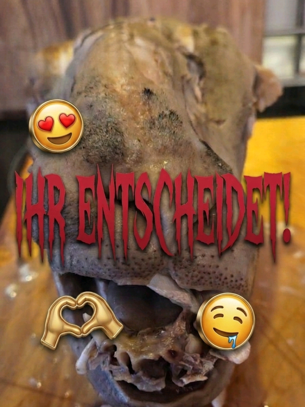 @CarnivoreKraft