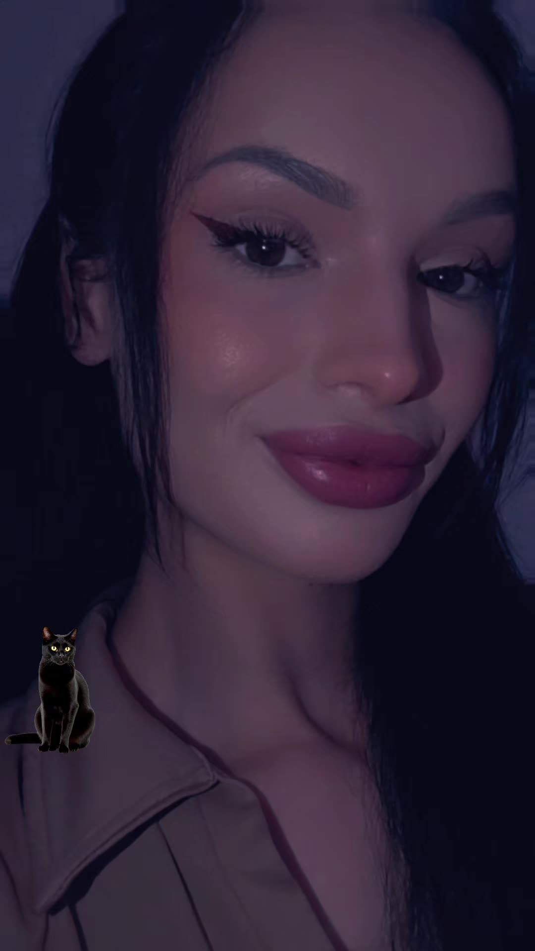 @♈️🫟 🐒 🫟 ♈️