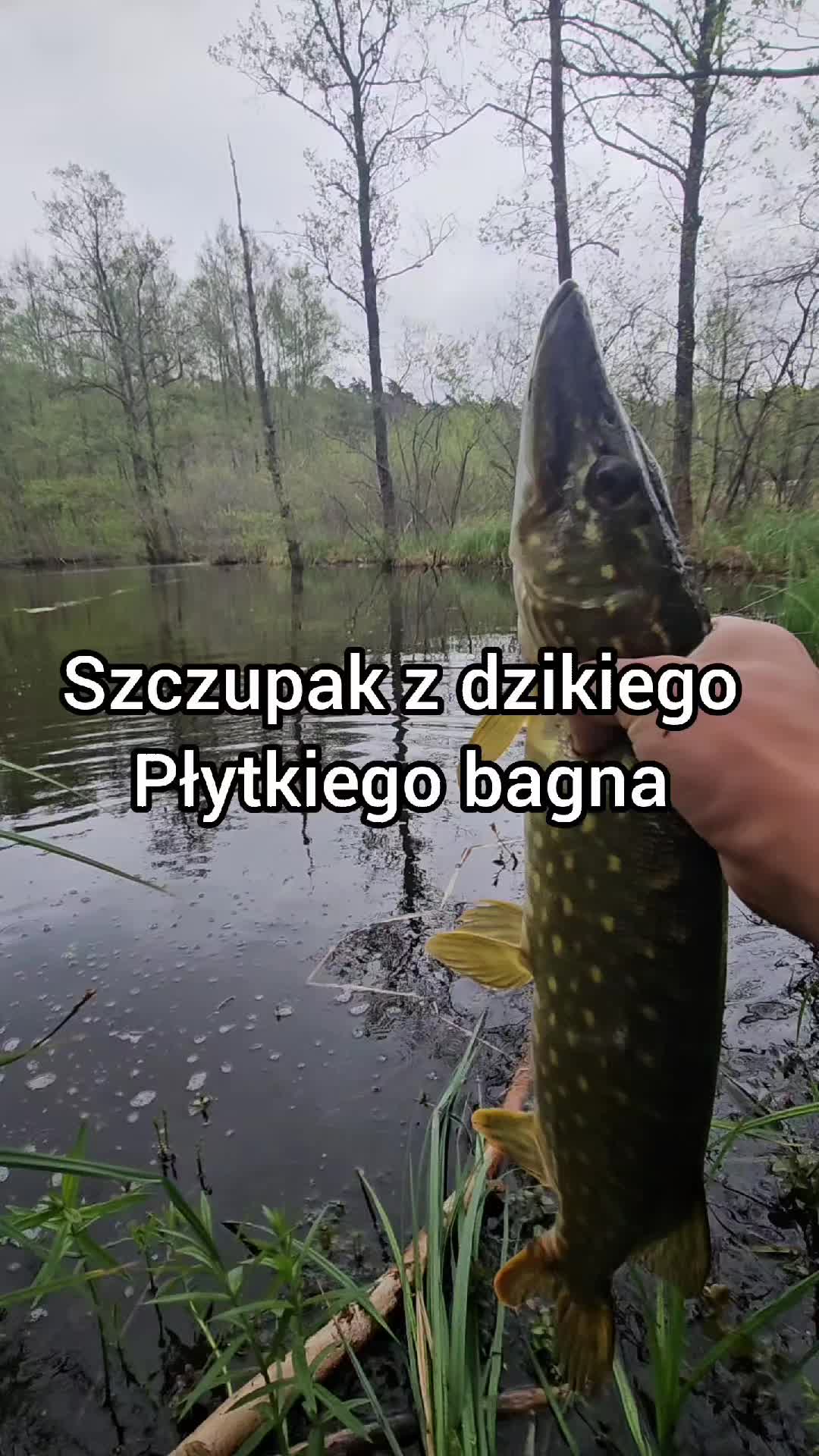 @mfly_lures