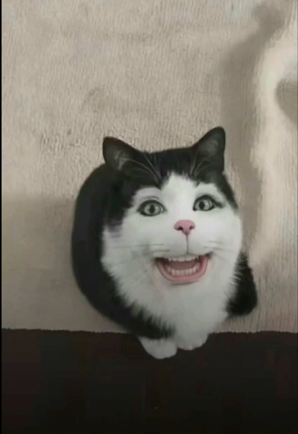 @⃟