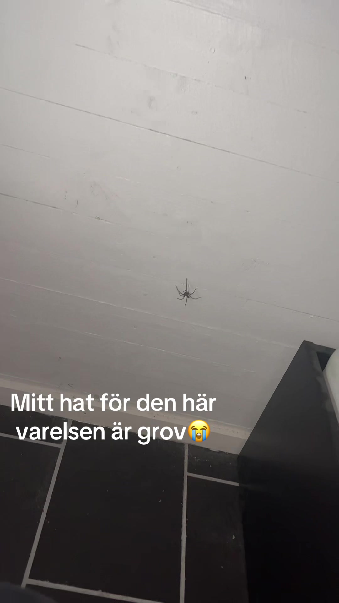 @MELINDAAAHHH