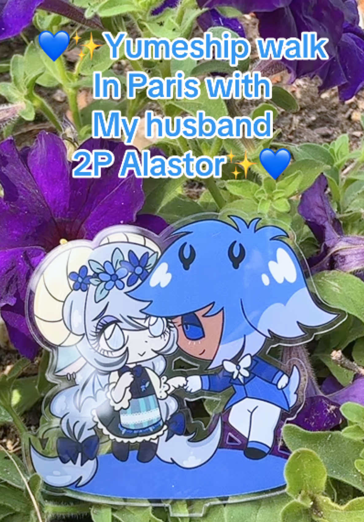 @✨💙ぷりんちゃん/QUEEN PUDDING💙✨