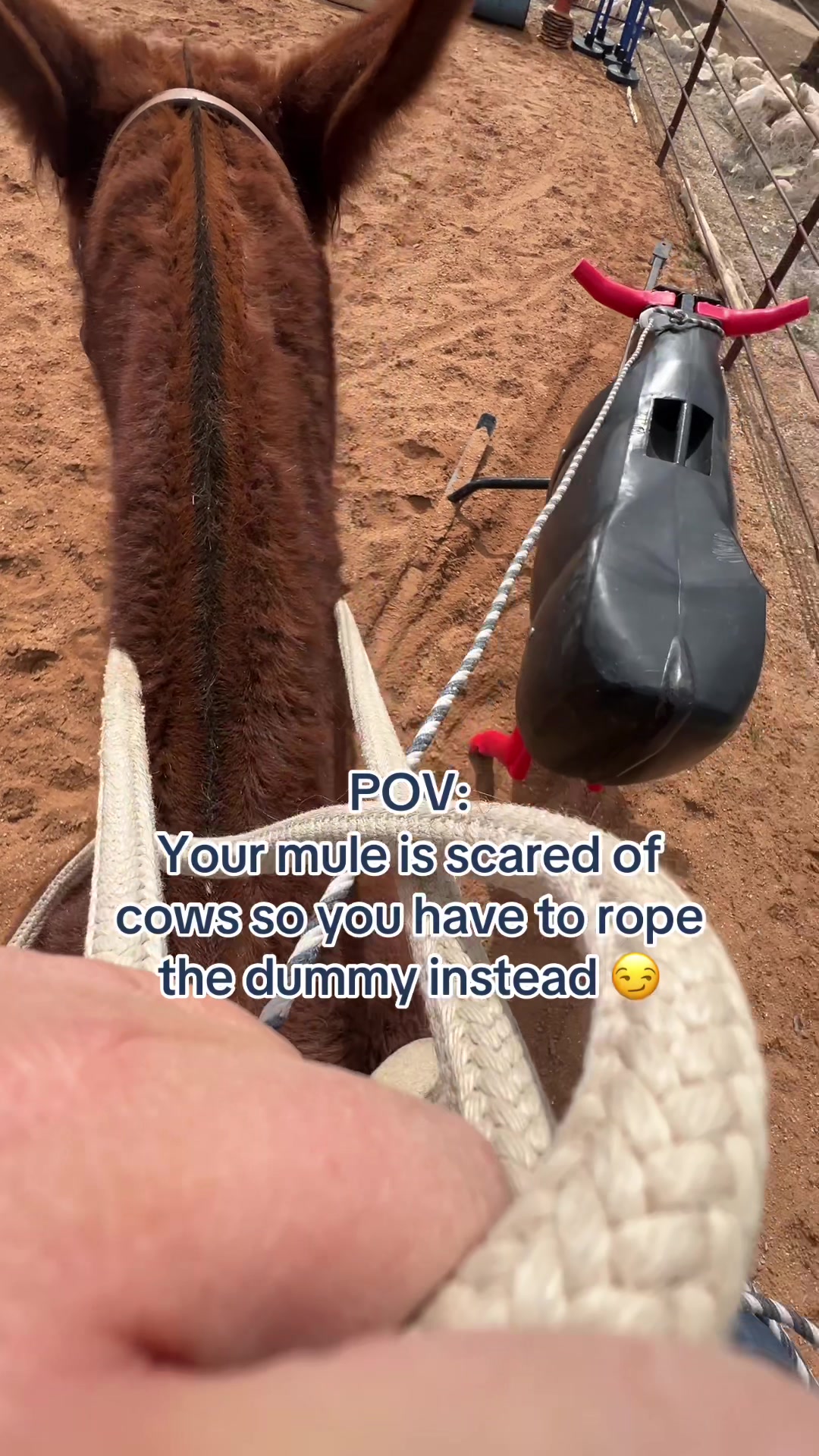@Skye Evans TSMULES