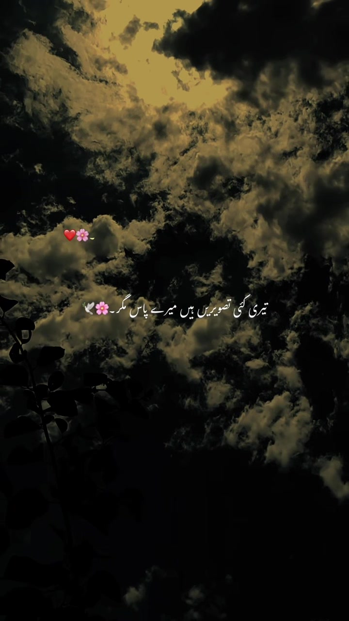 @🕊️