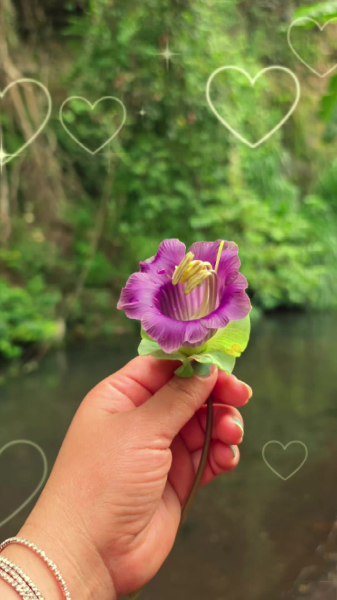 @doly.dfn