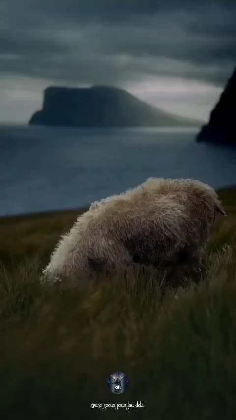 @Une sœur pour l'au-delà