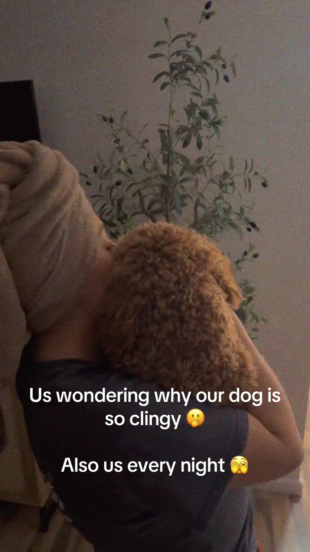 @Lenelikeceleene