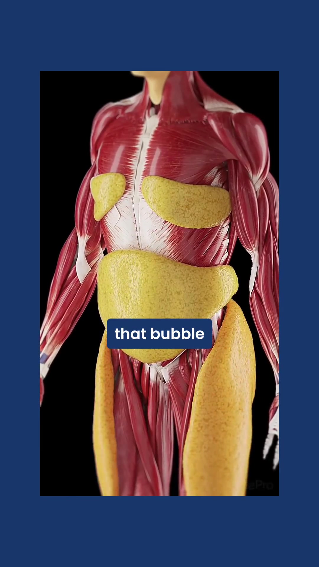 @Dr.Setari