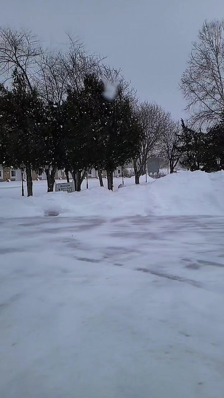 @asvikka